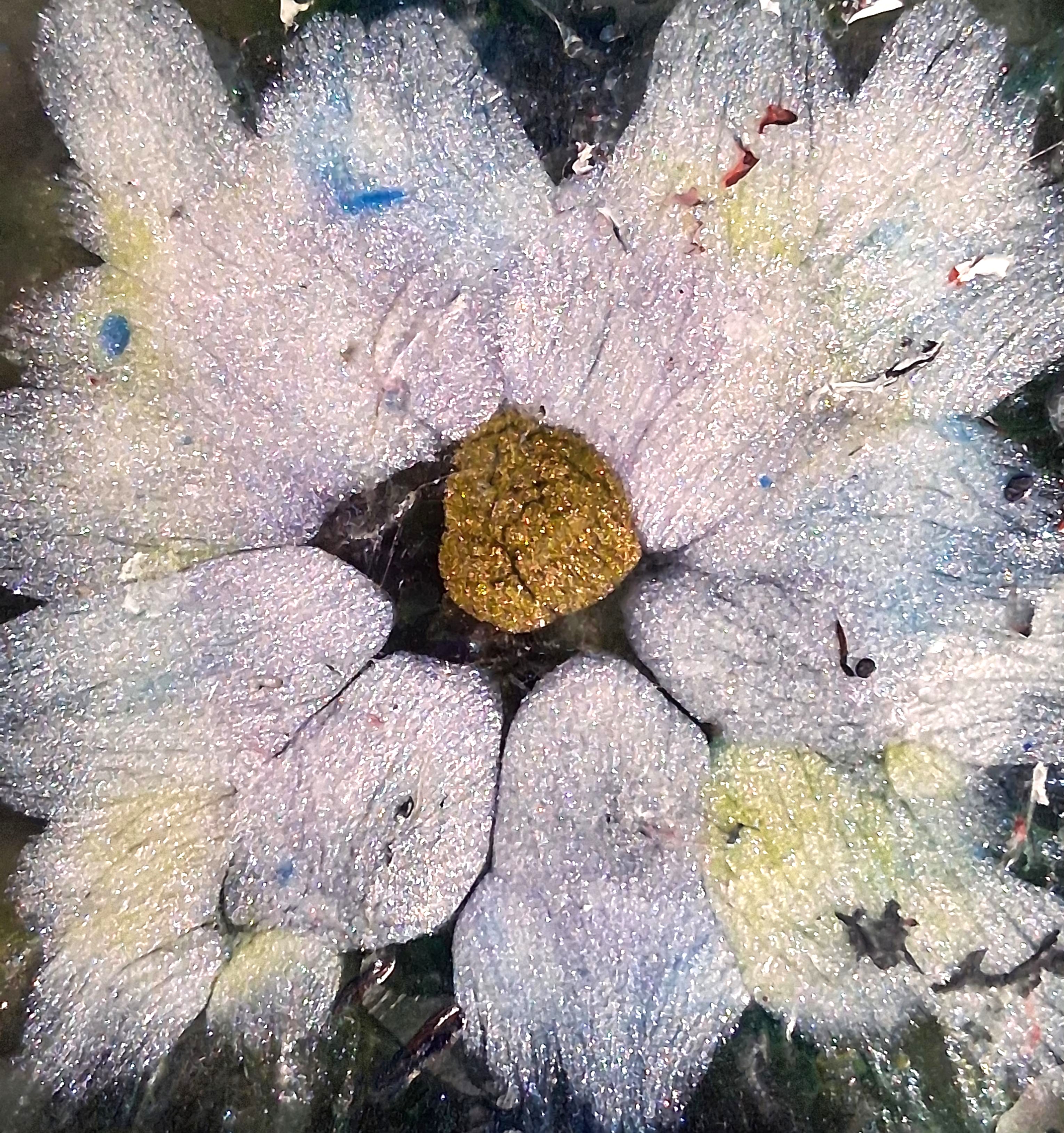 Frost's Heart - Acrylic painting by Chris Broussard